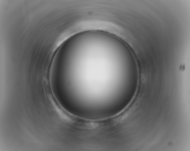 X0000092251521200709141137