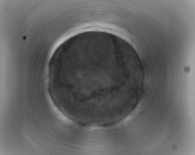 X0000092251522200709141137
