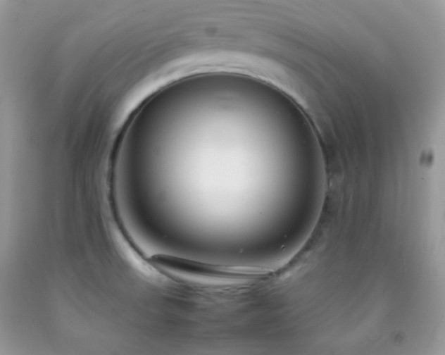 X0000092251523200709141137