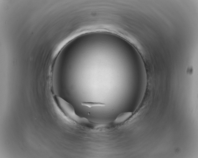 X0000092251524200709141138