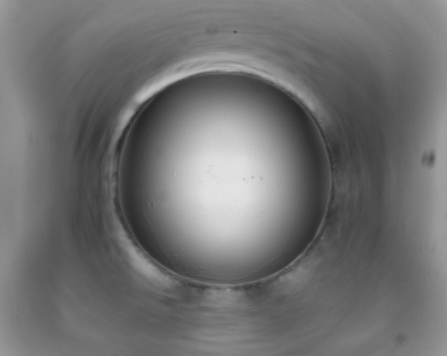X0000092251526200709141138