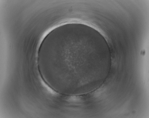 X0000092251527200709141138