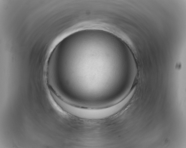 X0000092251528200709141138