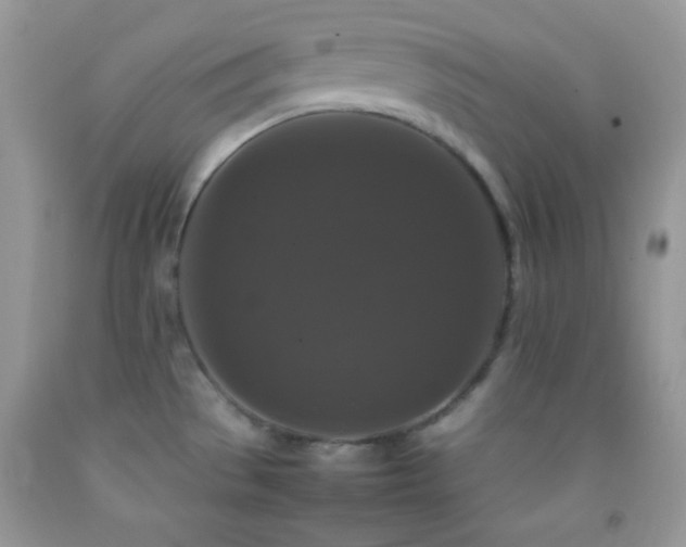 X0000092251529200709141138