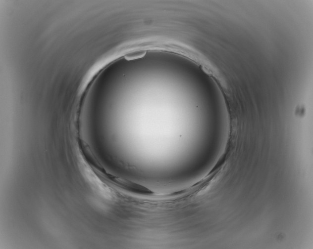 X0000092251530200709141138