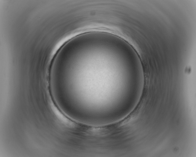 X0000092251531200709141138