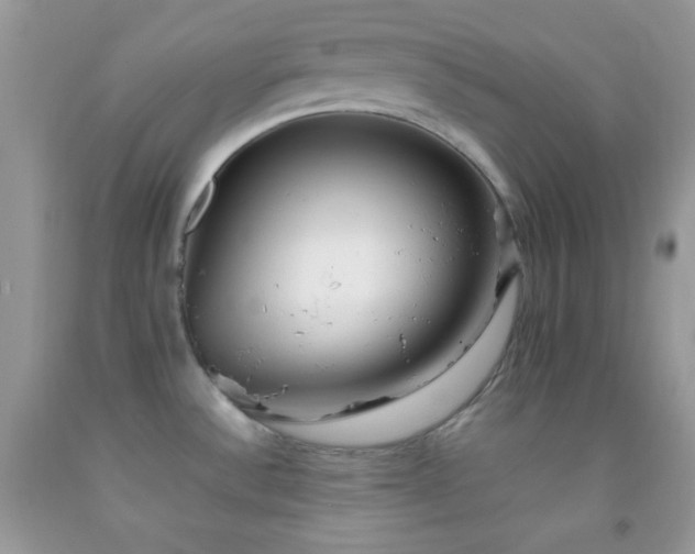 X0000092251532200709141138