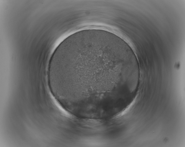 X0000092251533200709141138