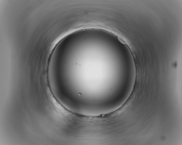 X0000092251534200709141138