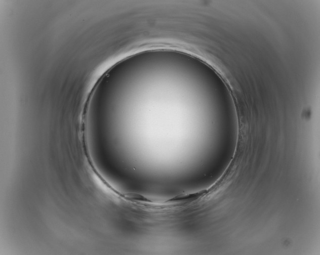 X0000092251535200709141138