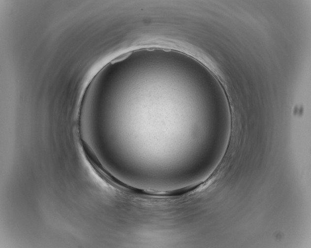 X0000092251536200709141138