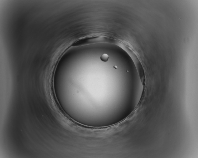 X0000092250001200709211109