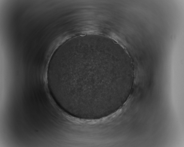 X0000092250002200709211109