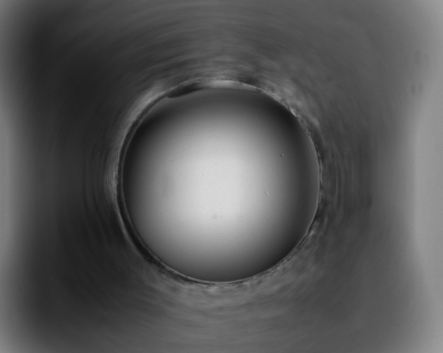 X0000092250003200709211109