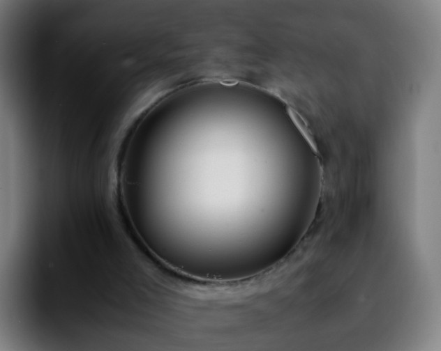 X0000092250005200709211109