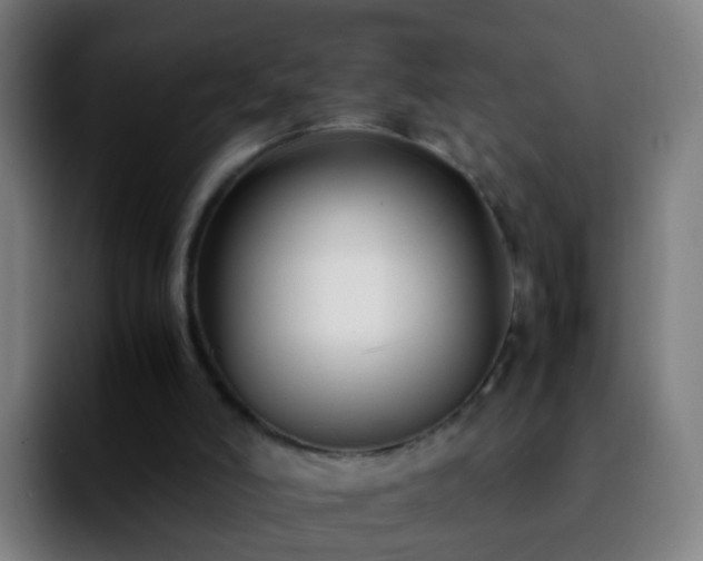 X0000092250006200709211109