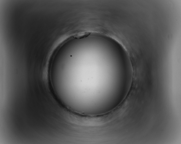 X0000092250008200709211109