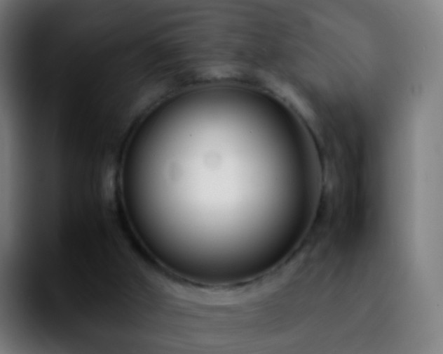 X0000092250010200709211109