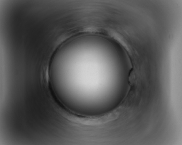 X0000092250011200709211109