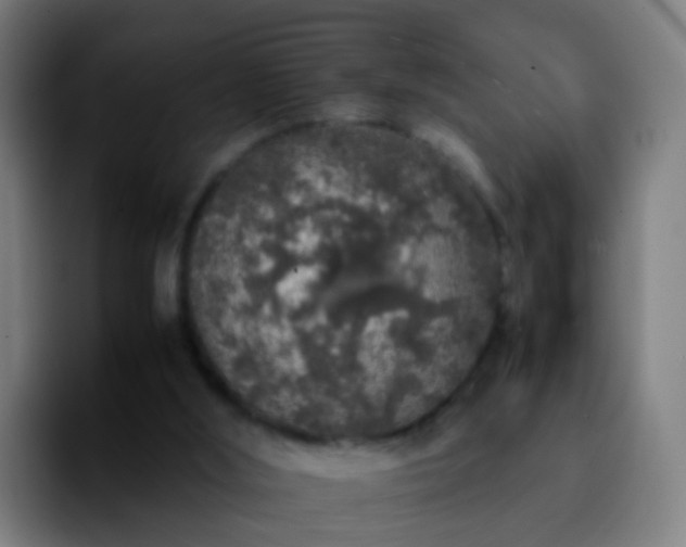 X0000092250012200709211109