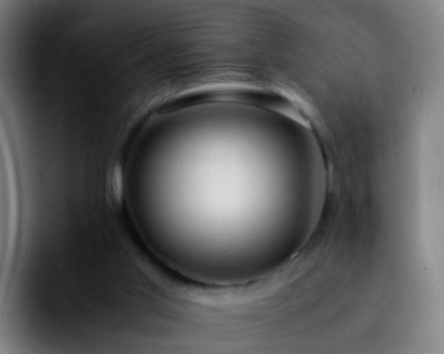 X0000092250013200709211109