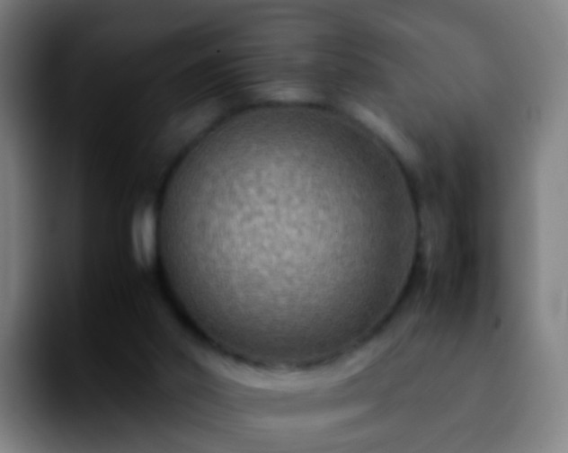 X0000092250014200709211109