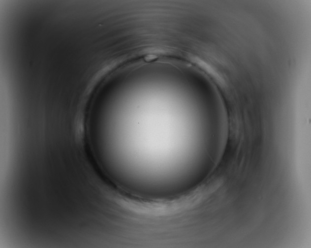 X0000092250015200709211109