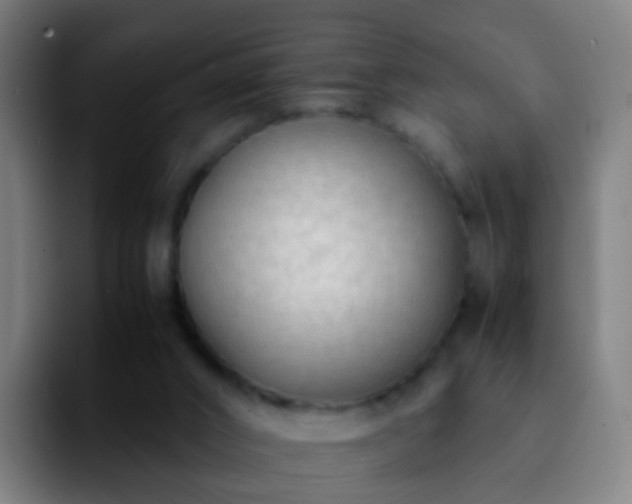 X0000092250016200709211109