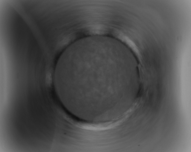 X0000092250017200709211109