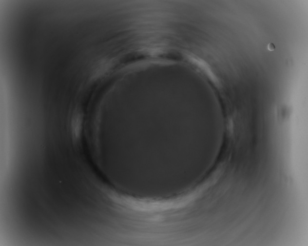 X0000092250018200709211109