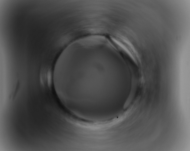 X0000092250019200709211109