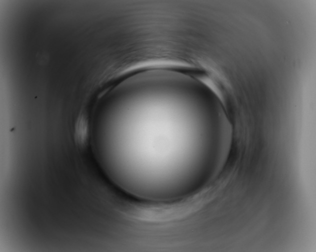 X0000092250021200709211109