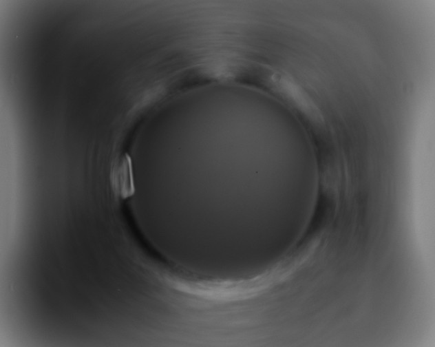 X0000092250023200709211109