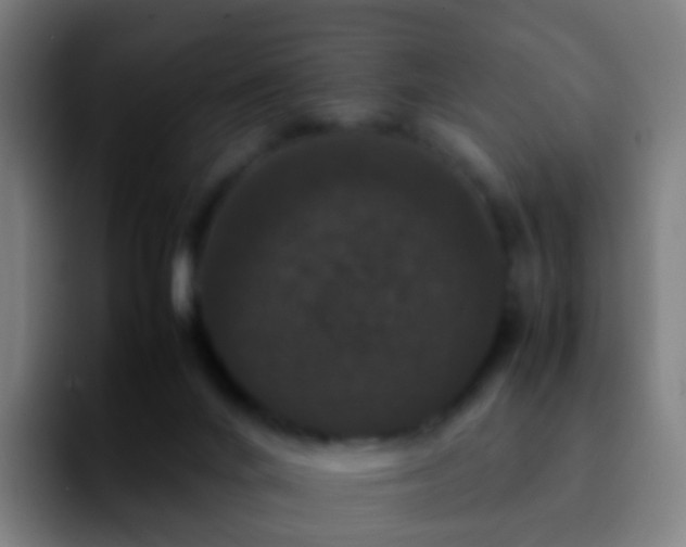 X0000092250024200709211109