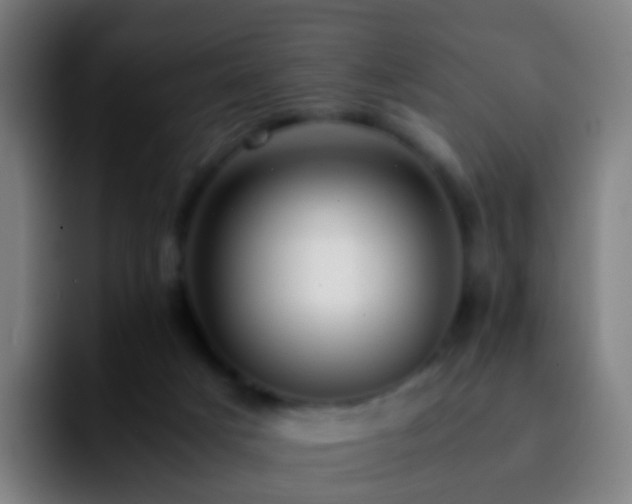 X0000092250025200709211109