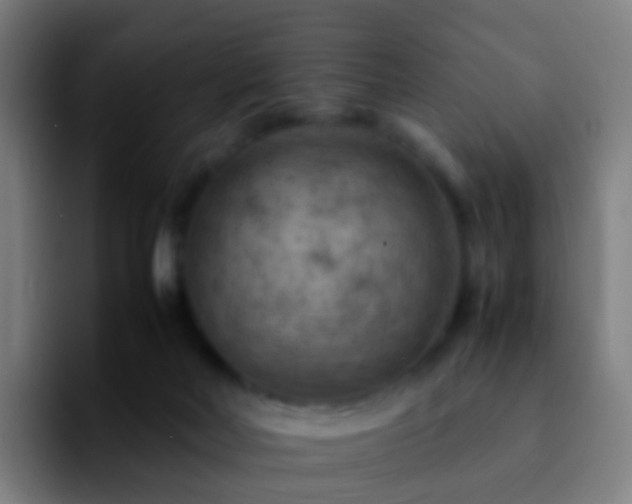 X0000092250026200709211109