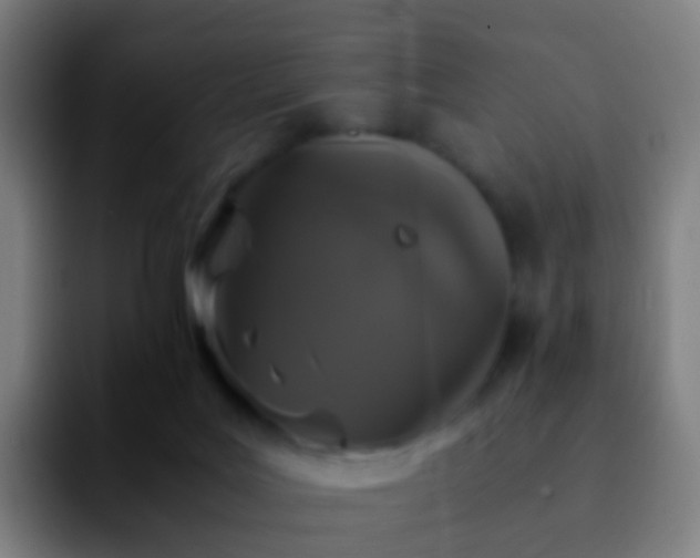 X0000092250027200709211109