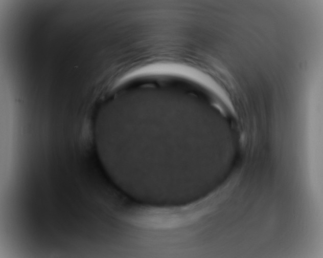 X0000092250029200709211109