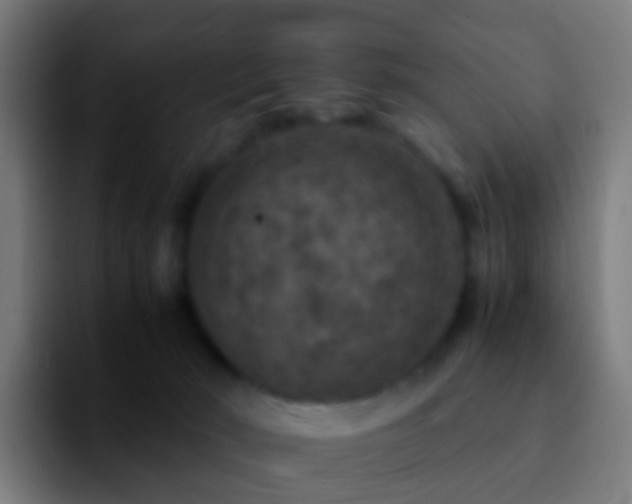 X0000092250030200709211109