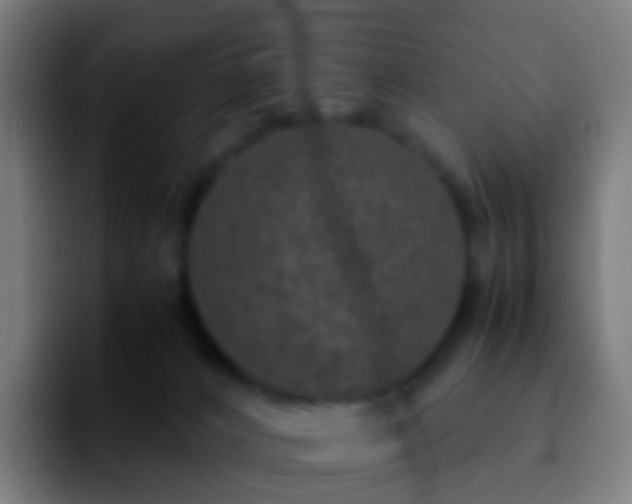 X0000092250032200709211109