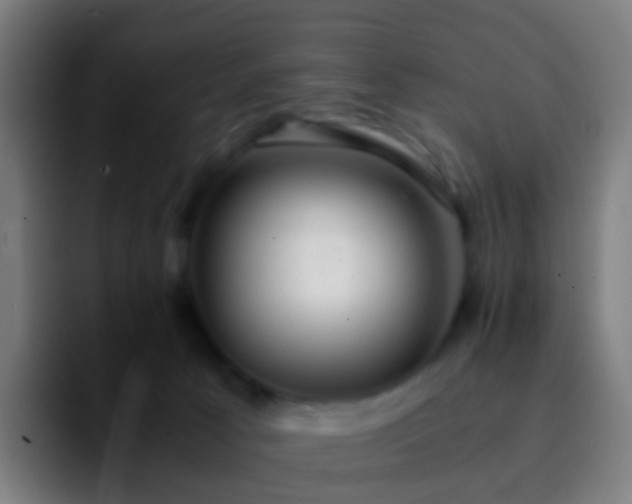 X0000092250033200709211109