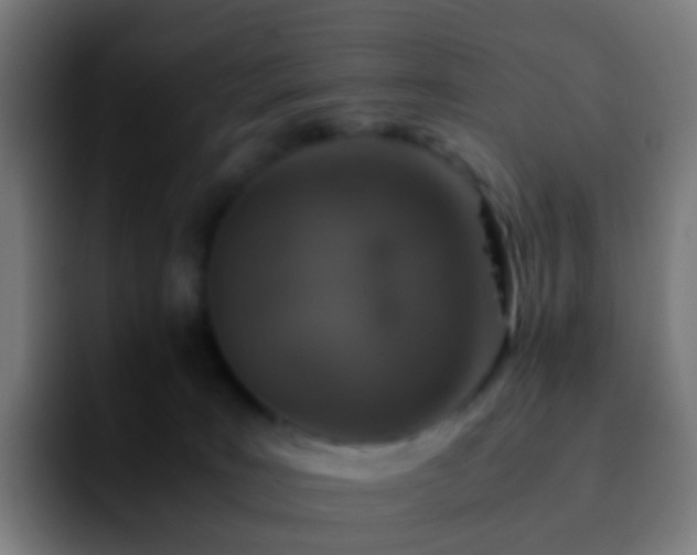 X0000092250035200709211109