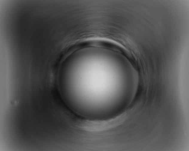 X0000092250037200709211109