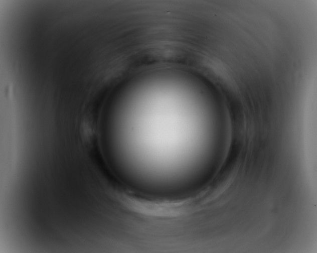 X0000092250040200709211109