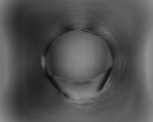 X0000092250041200709211109