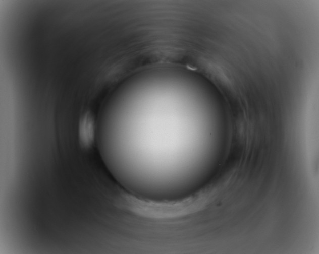 X0000092250042200709211109