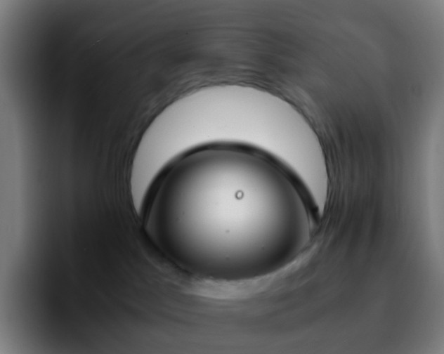 X0000092250045200709211109