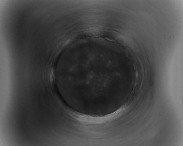 X0000092250048200709211109