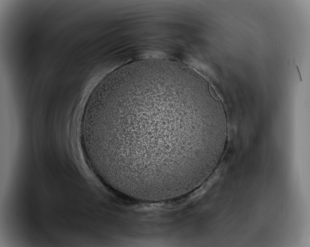 X0000092250049200709211108