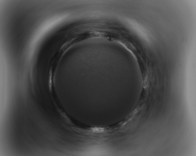 X0000092250052200709211108